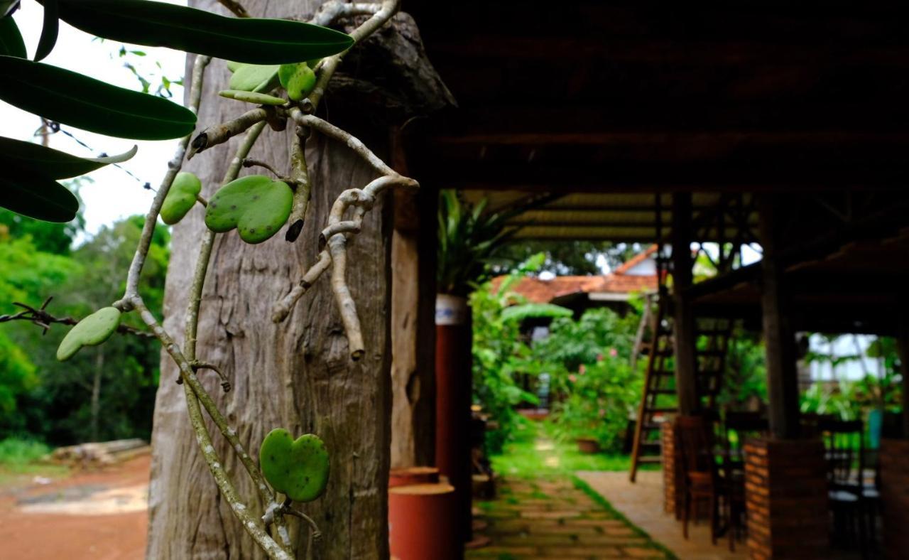 Plei Homestay & Cafe Pleiku Exterior photo