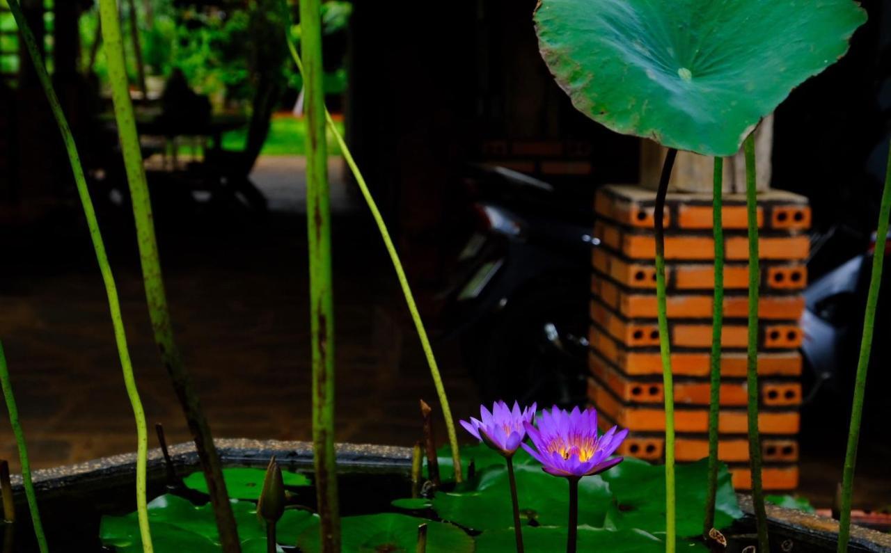 Plei Homestay & Cafe Pleiku Exterior photo