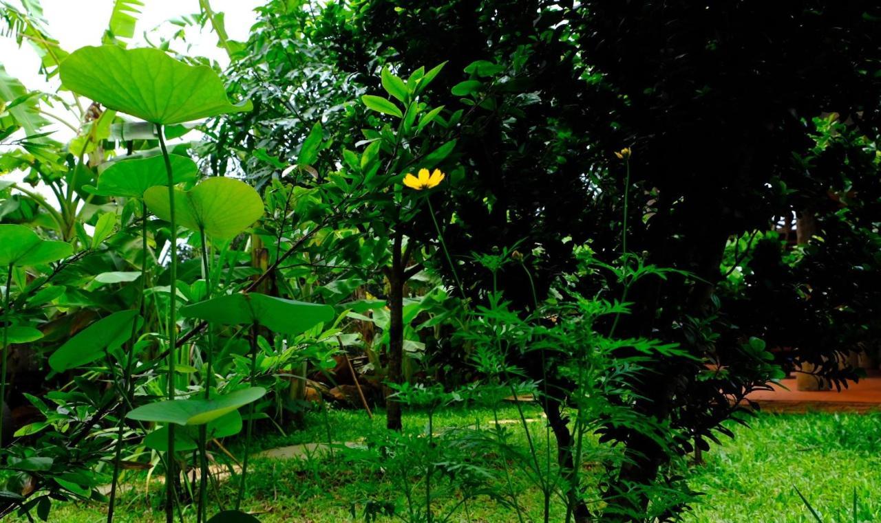 Plei Homestay & Cafe Pleiku Exterior photo