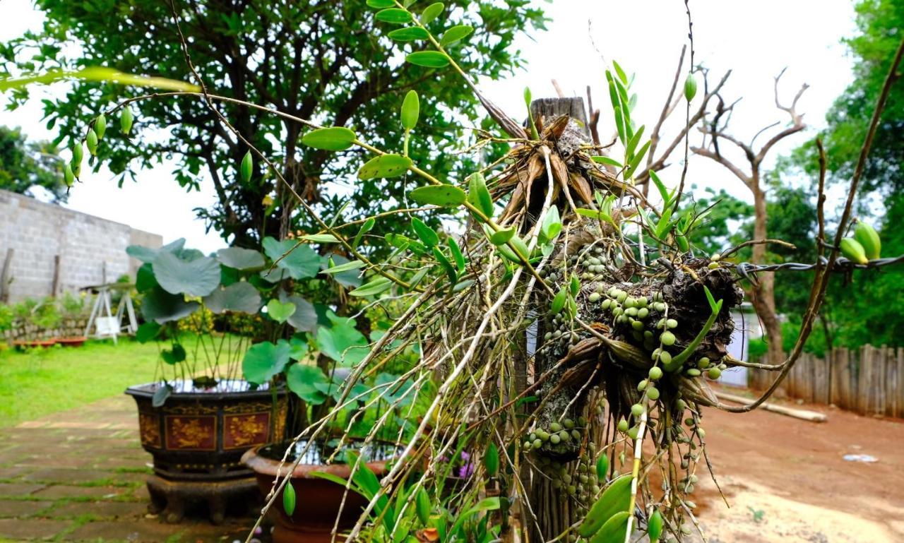 Plei Homestay & Cafe Pleiku Exterior photo